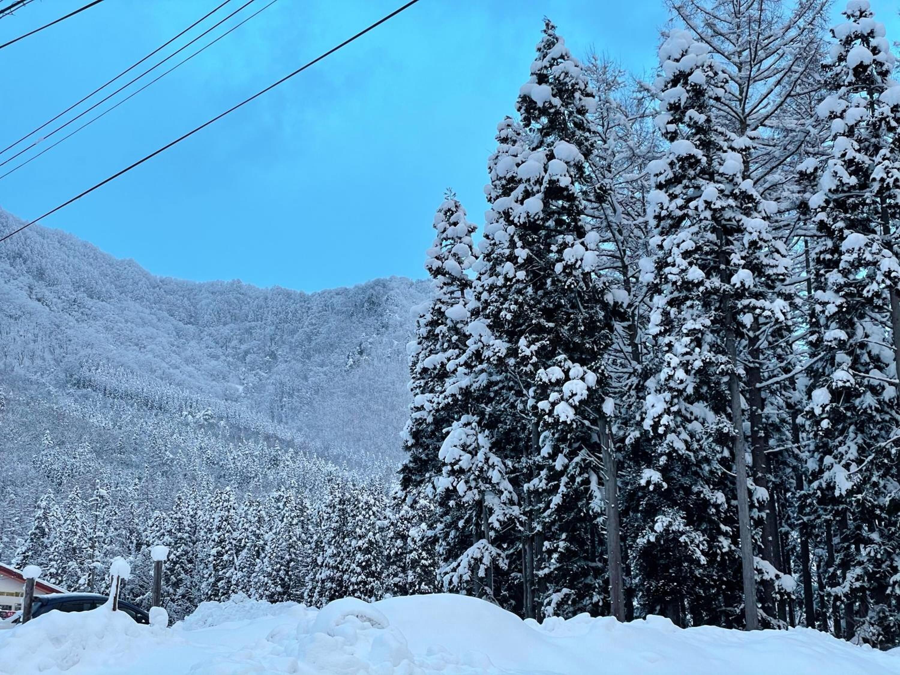 Hakuba Sunvalley Hotel 3*