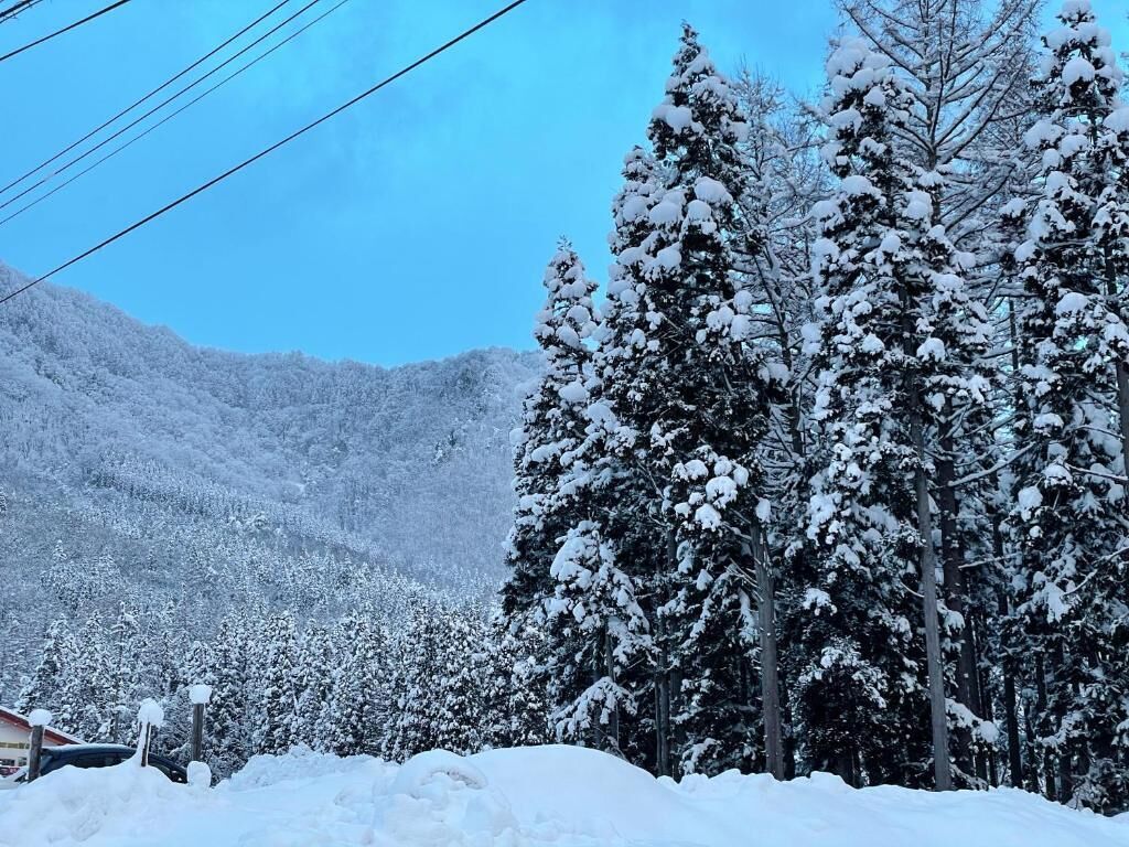 Hakuba Sunvalley Hotel 3*