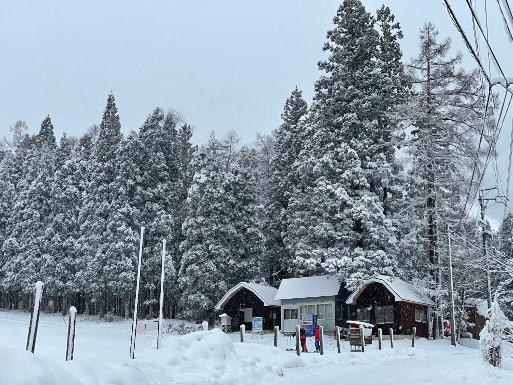 Hakuba Sunvalley Hotel 3*