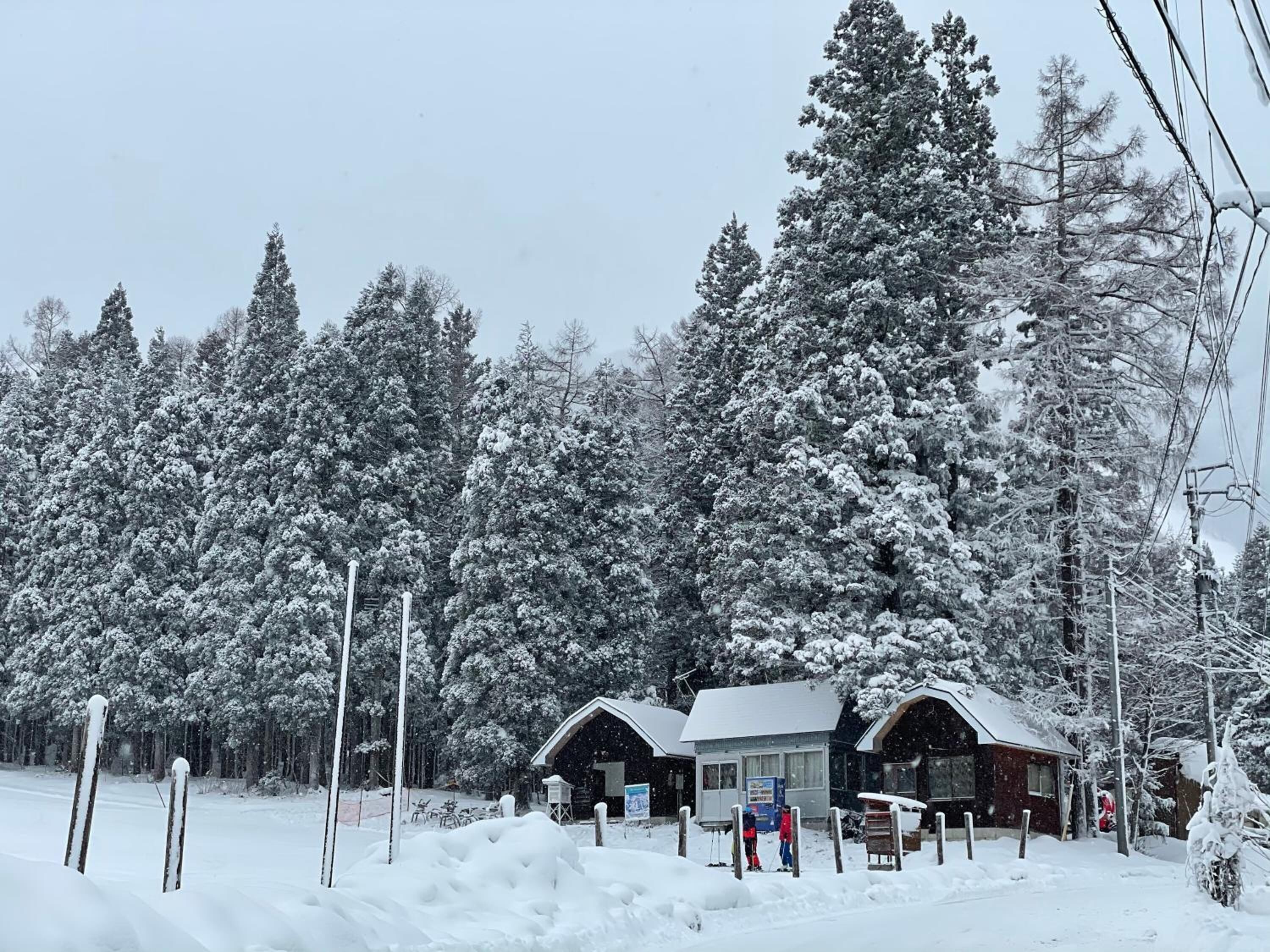 Hakuba Sunvalley Hotel 3*