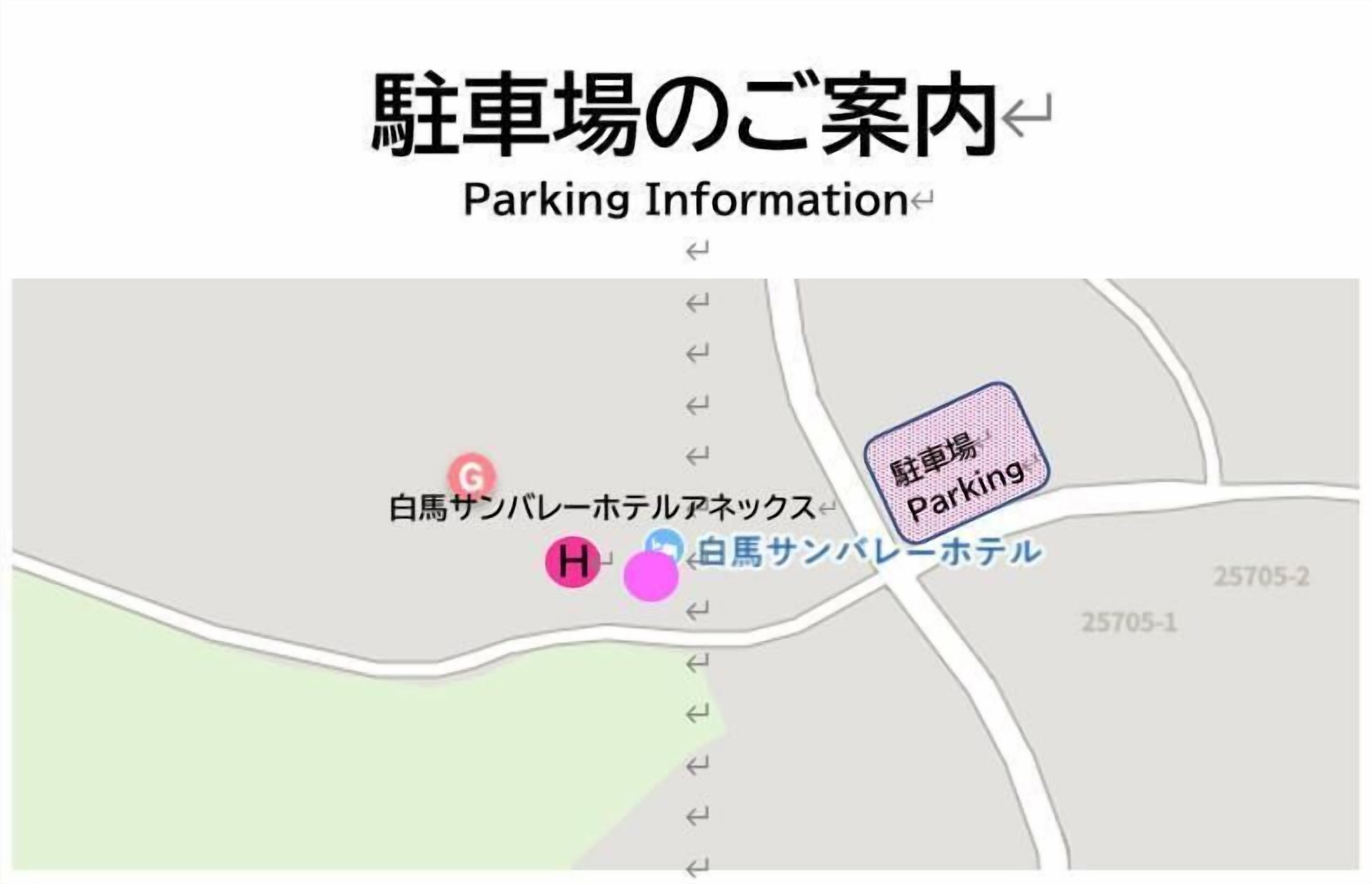 Hakuba Sunvalley Hotel 3*