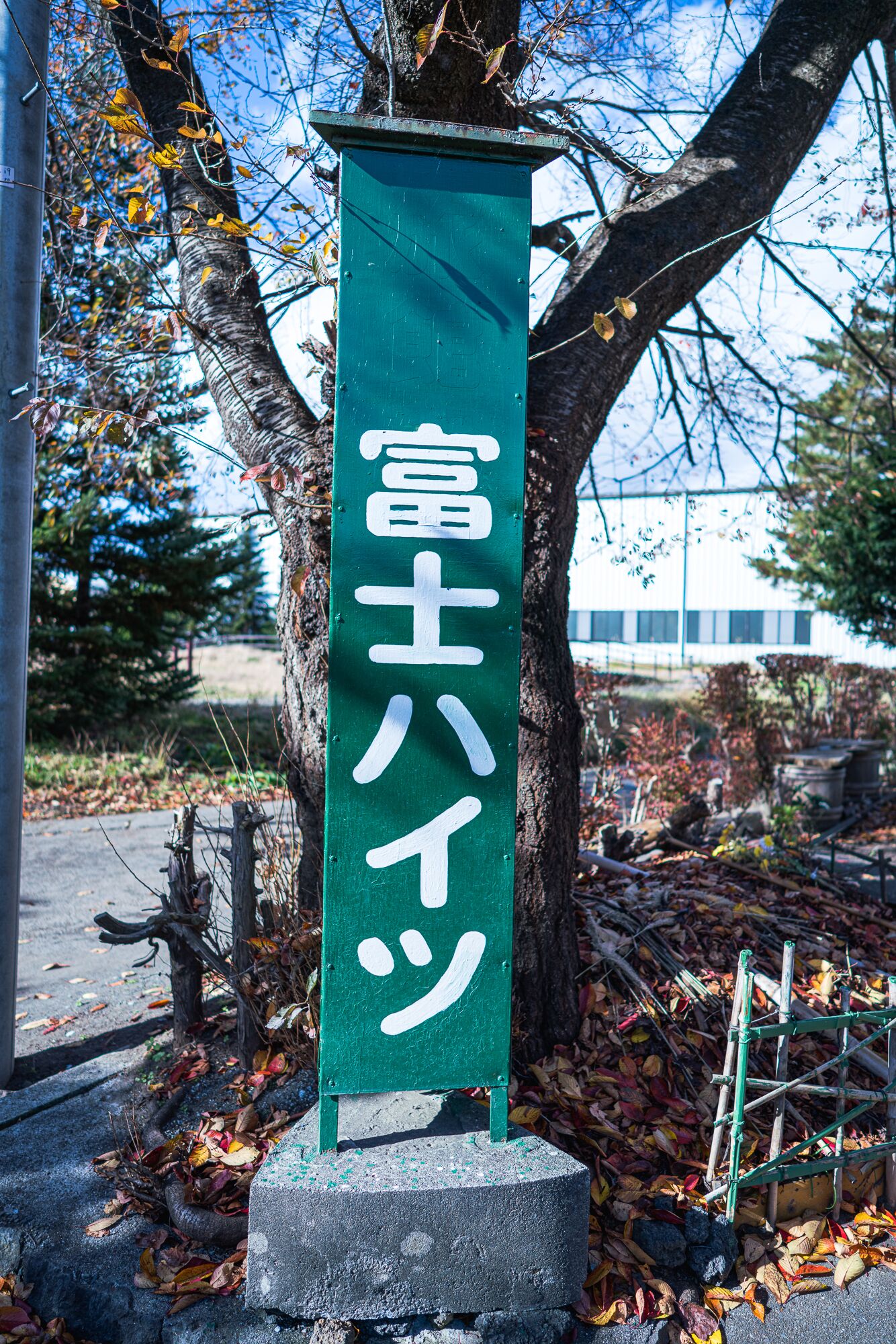 Ryokan Fuji Heights 2*