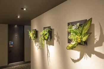 H.B.P Hotel 3*