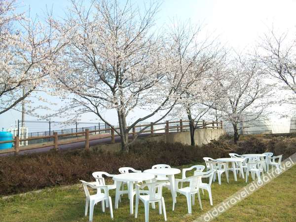 Aso Kumamoto Airport Hotel Eminence 3*