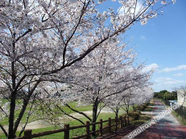 Aso Kumamoto Airport Hotel Eminence 3*