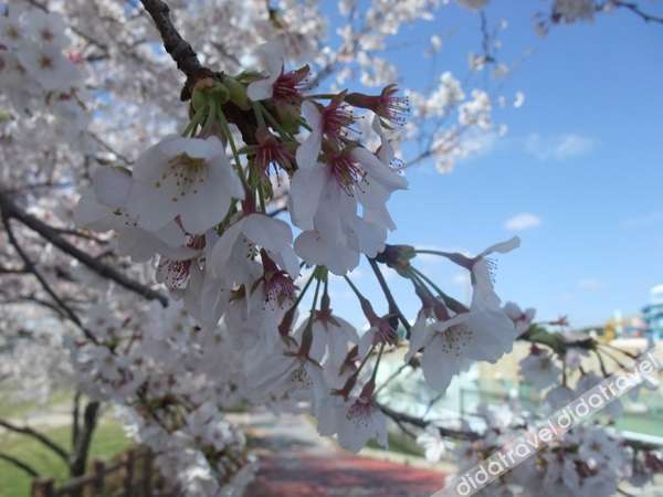Aso Kumamoto Airport Hotel Eminence 3*