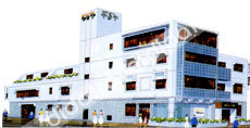 Kanko Hotel Yamaya 3*