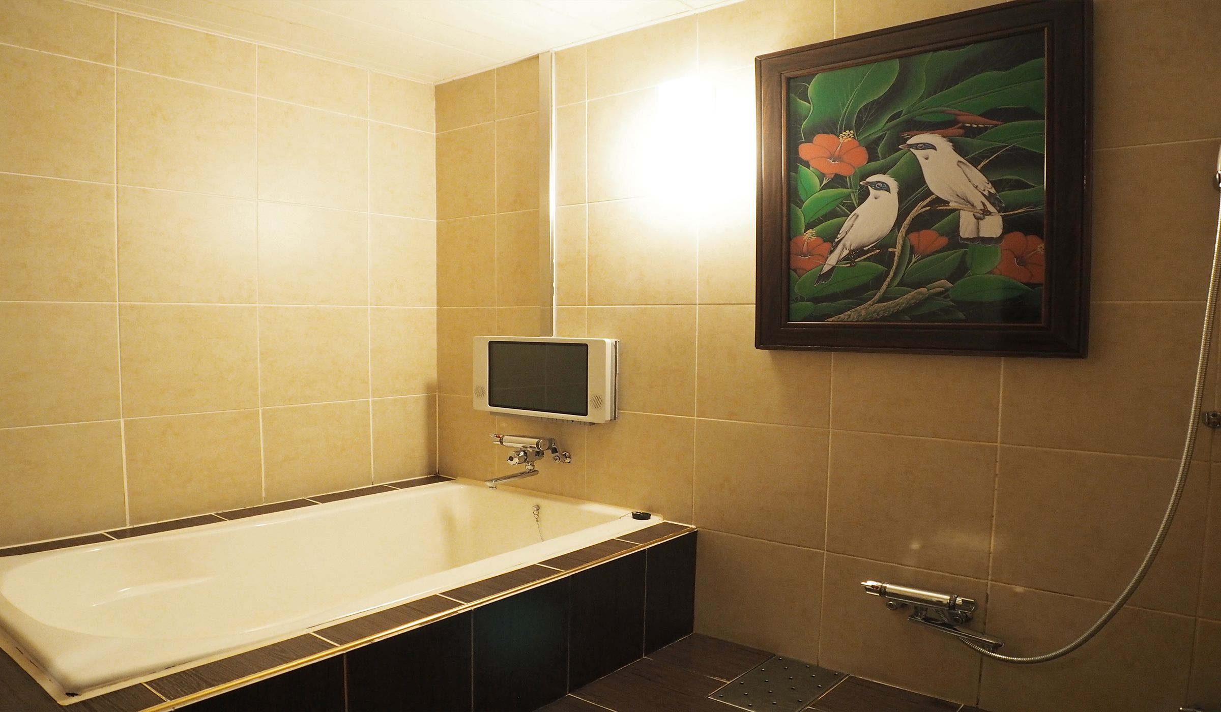 Hotel Asia - Adults Only 3*