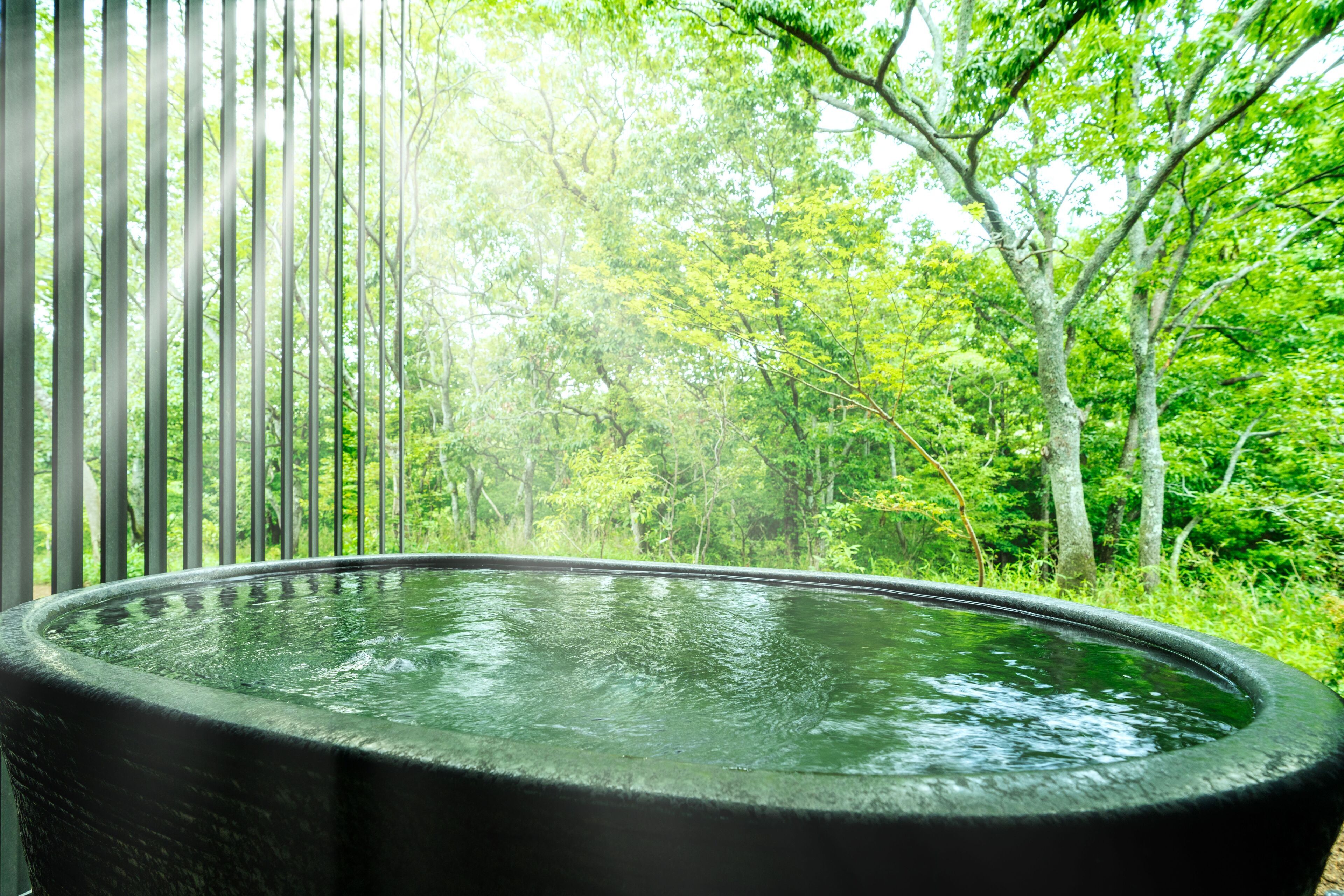 Hoshino Resorts KAI Yufuin 3*
