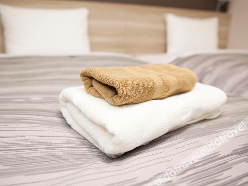 Hotel Route Inn Grand Chichibu 2*