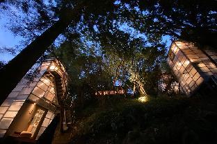 ThinkStay Mt. 3*
