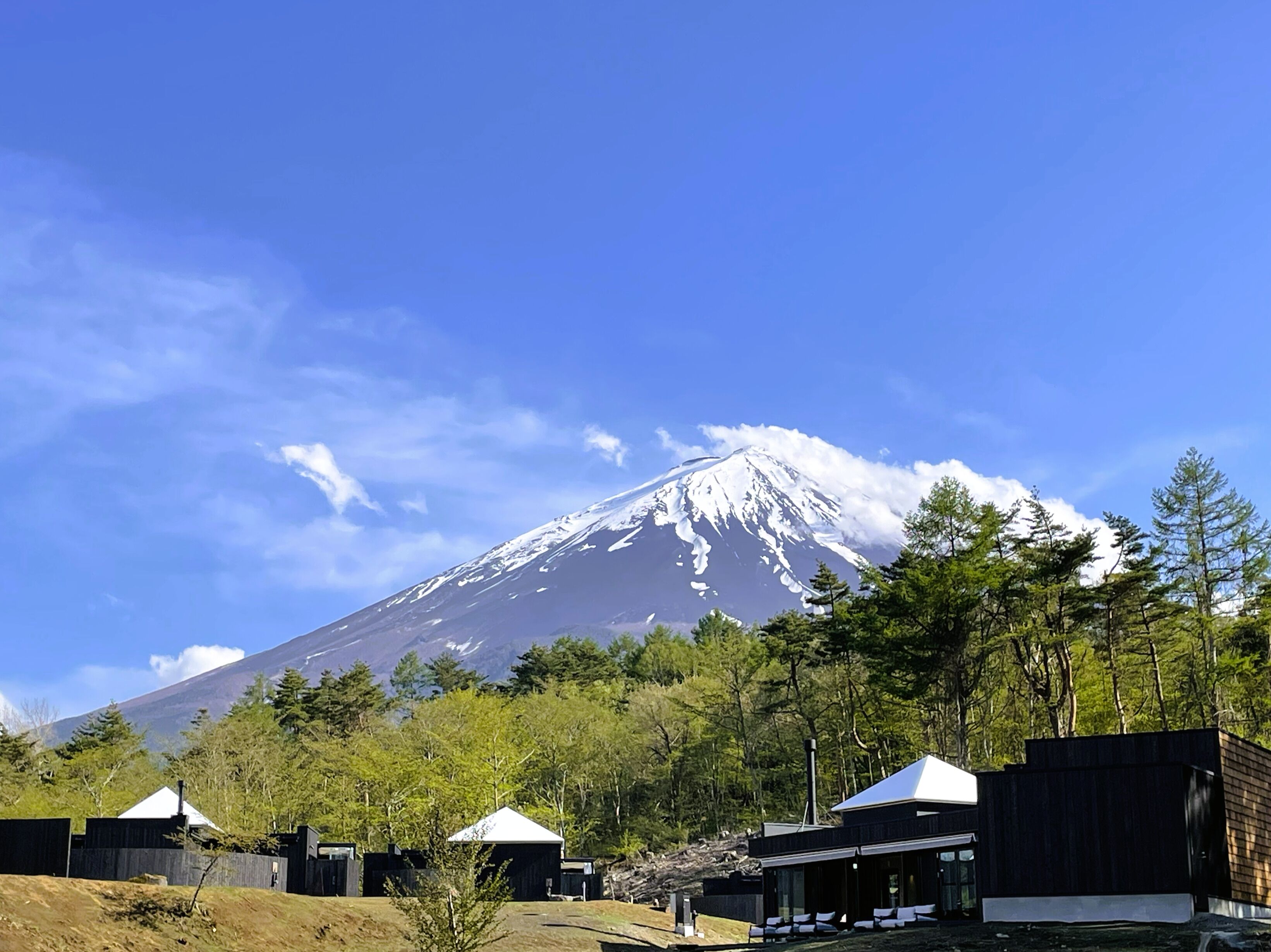 THE SENSE FUJI 0*