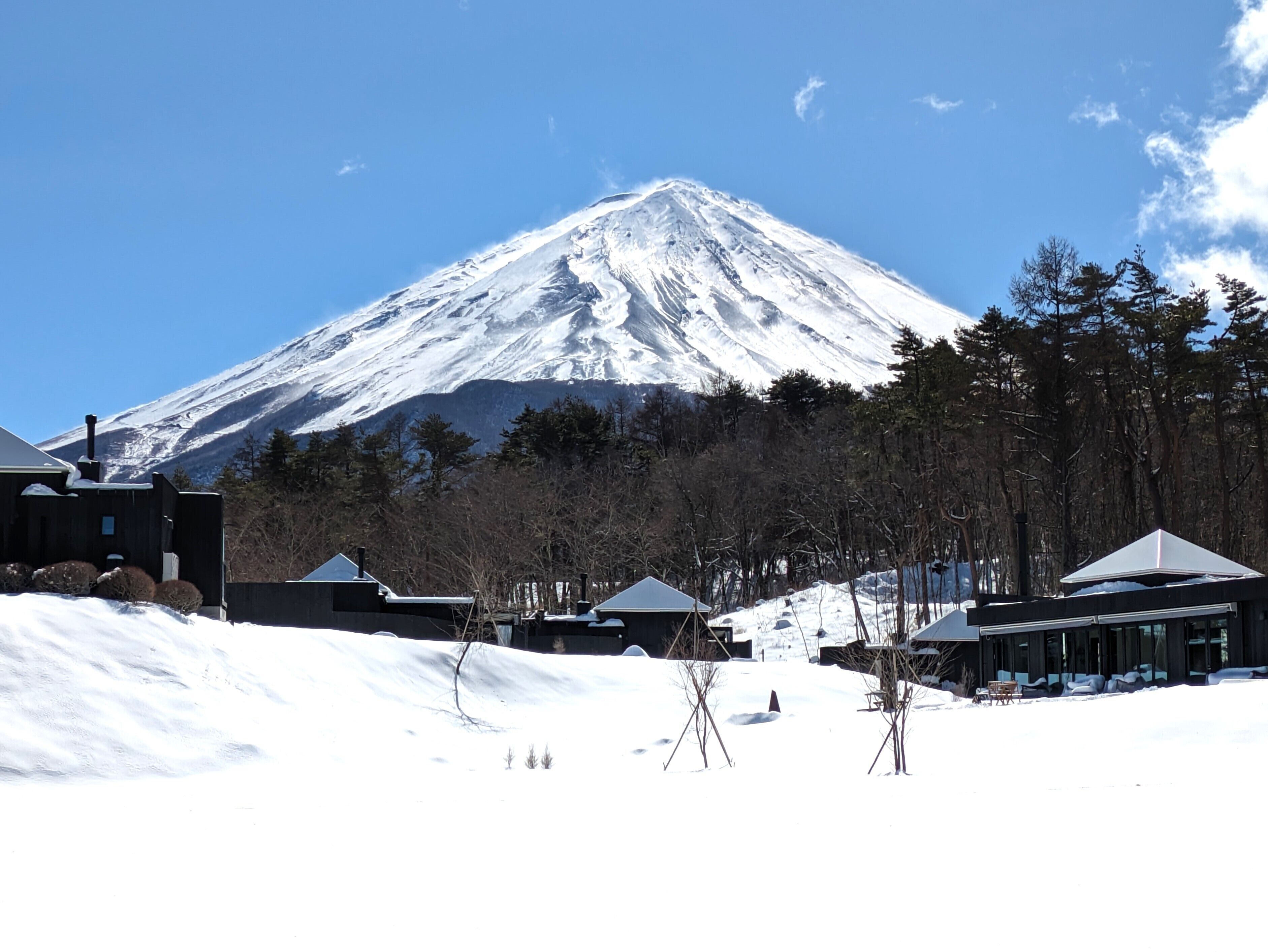 THE SENSE FUJI 0*