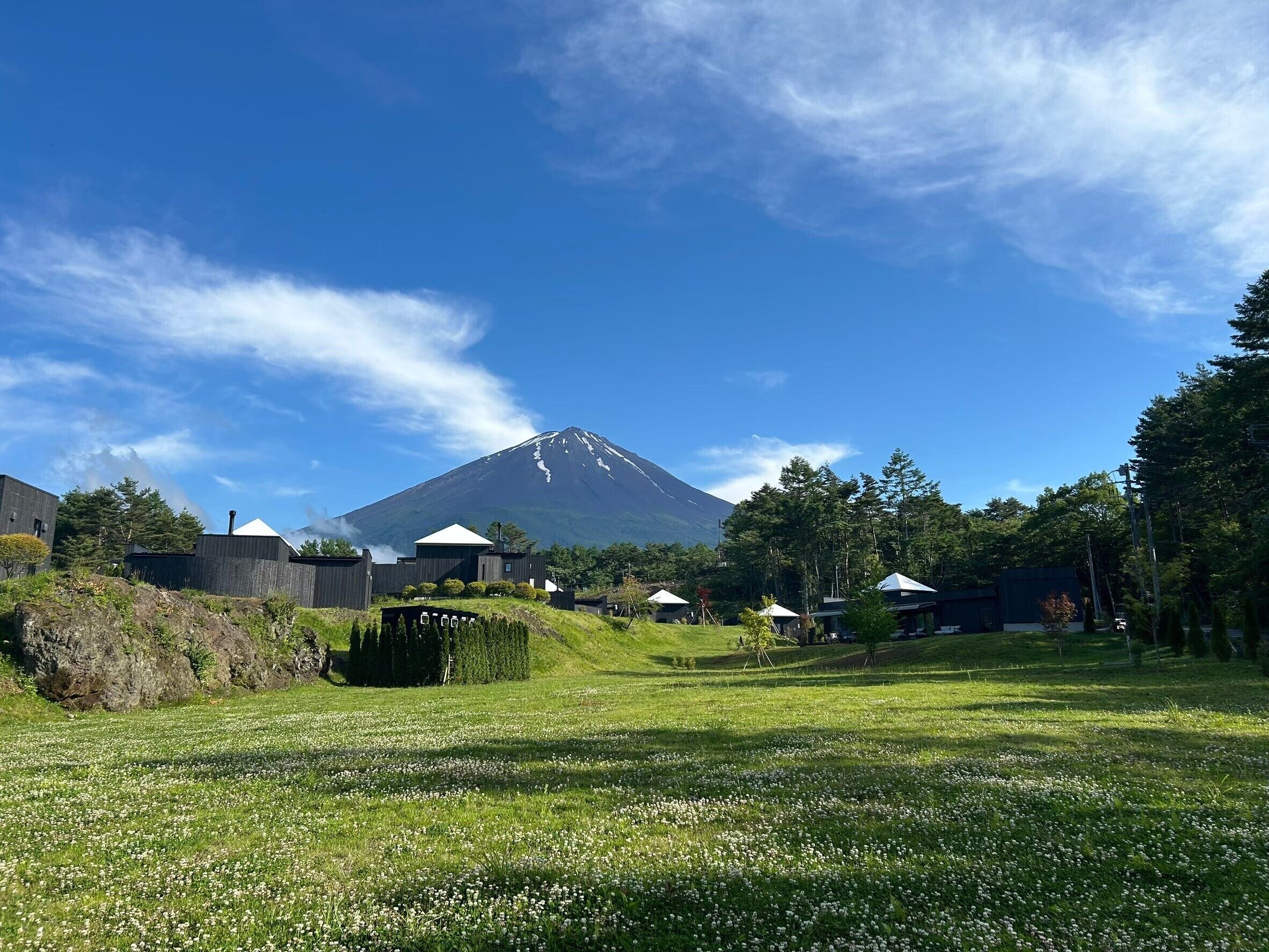 THE SENSE FUJI 0*