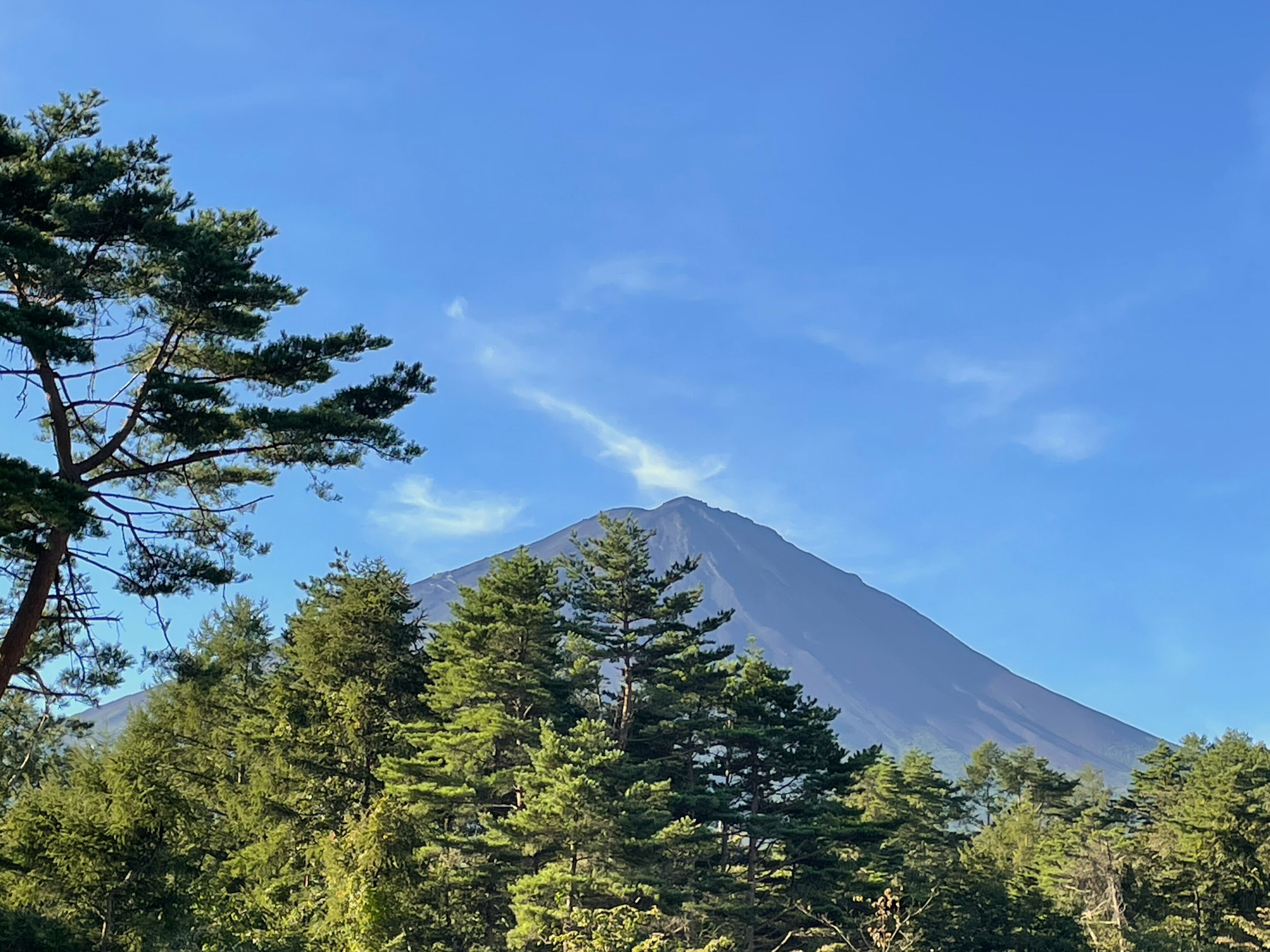 THE SENSE FUJI 0*