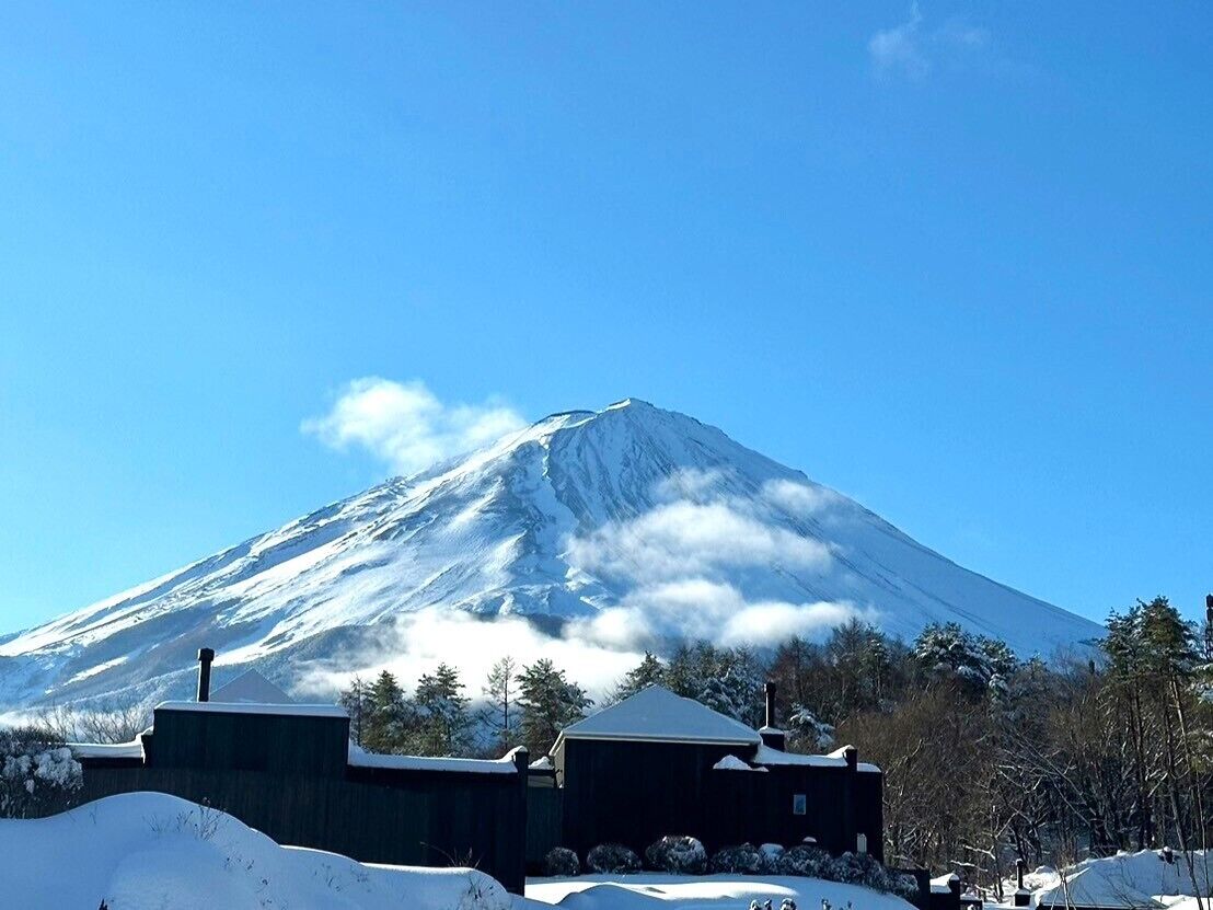 THE SENSE FUJI 0*