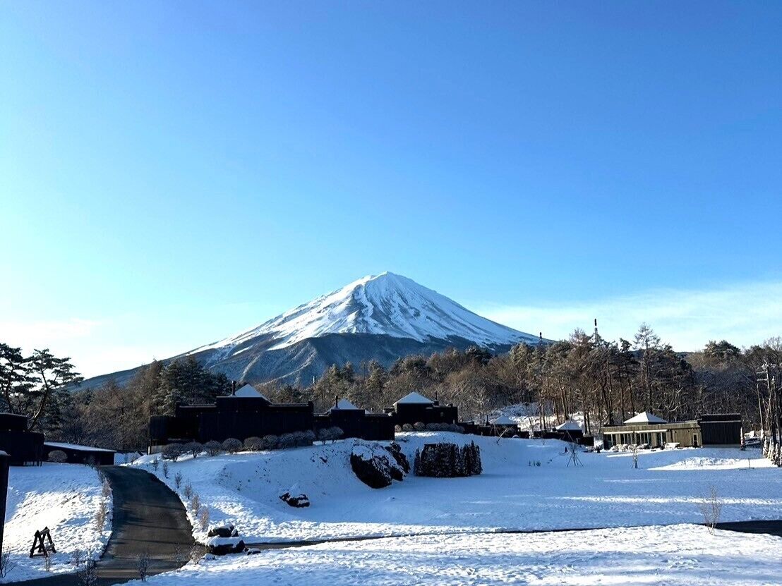 THE SENSE FUJI 0*