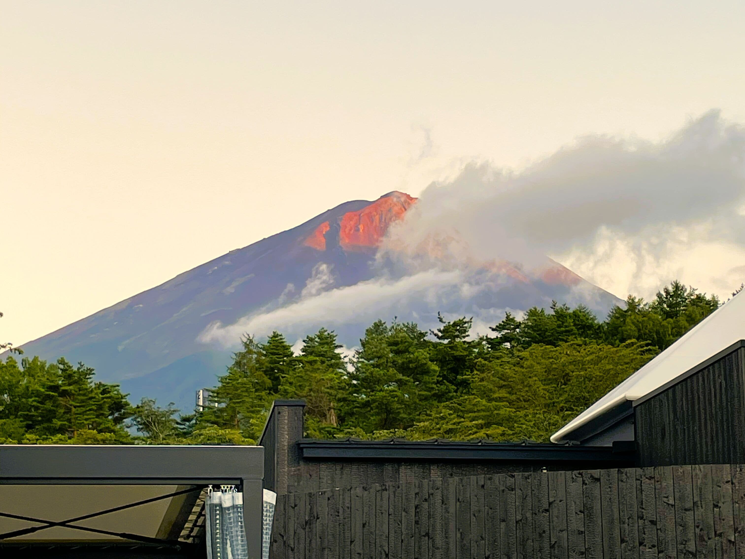 THE SENSE FUJI 0*