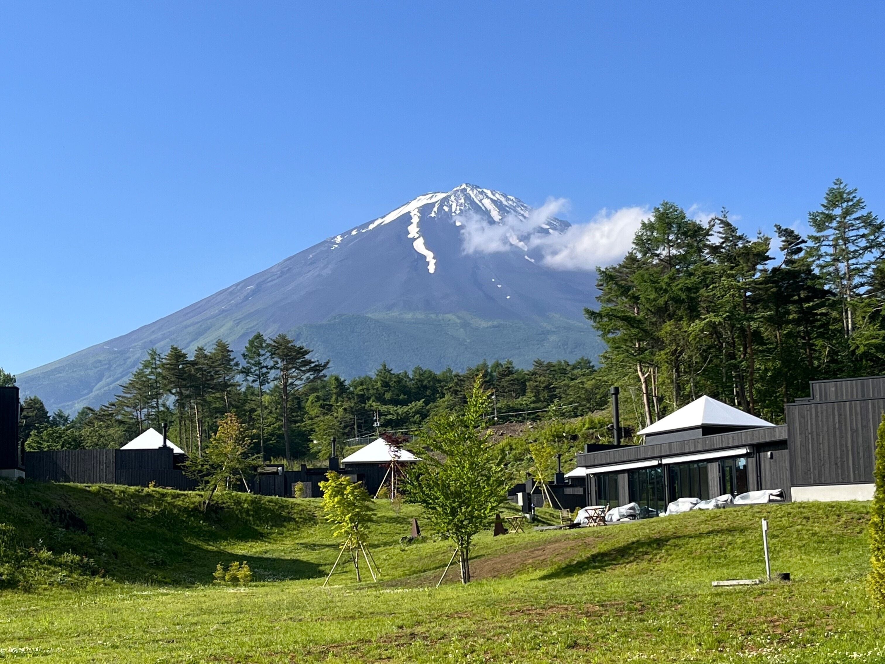 THE SENSE FUJI 0*