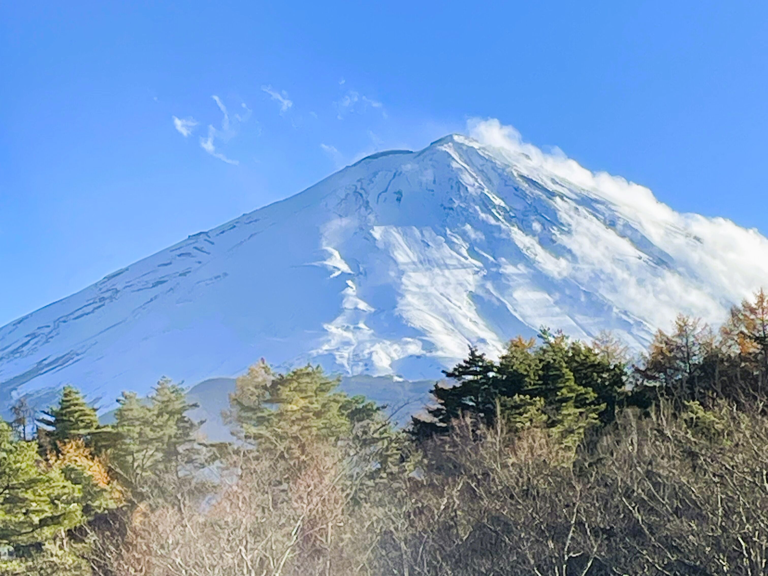 THE SENSE FUJI 0*