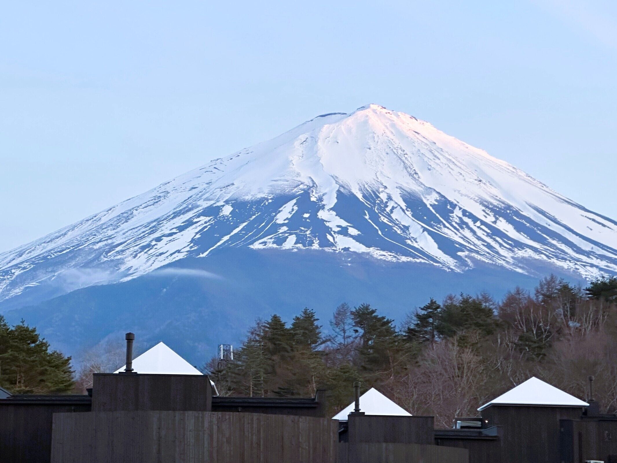 THE SENSE FUJI 0*