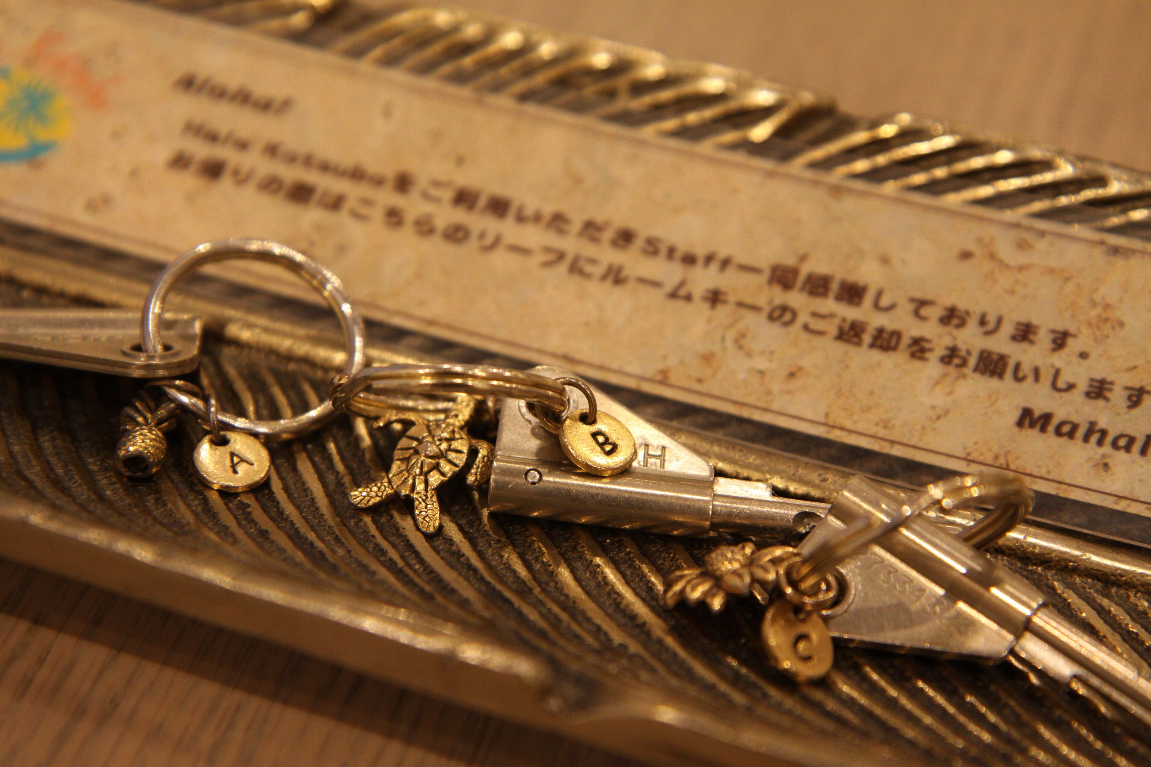 Hale Kotsubo 4*