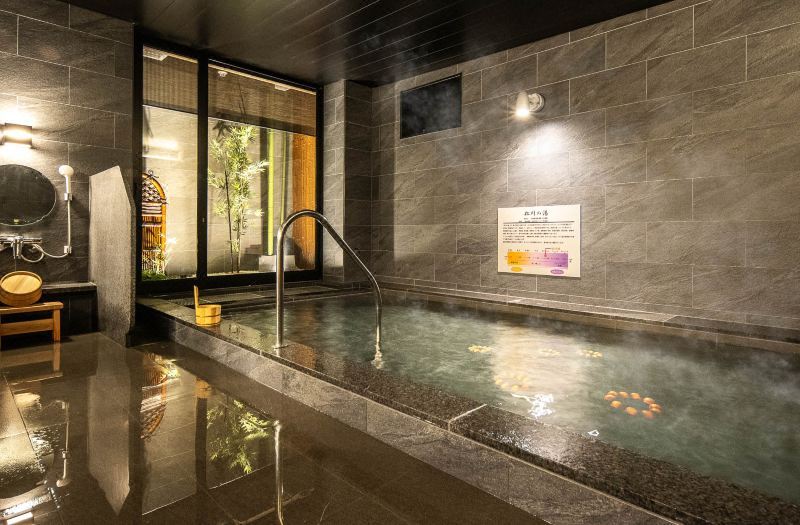 Super Hotel Premier Toyama Castle Park 3*