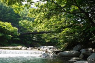 Tonosawa Onsen Yamano Chaya Ryokan 4*