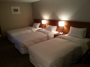 Seoul Rex Hotel 3*