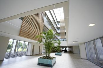 Phoenix Island 4*
