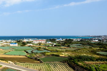 Eco Green Resort 4*