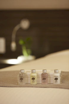 HOTEL FORET THE SPA 3*