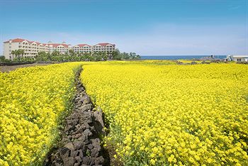 Sono Belle Jeju(ex:Daemyung Resort Jeju) 3*