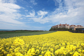 Sono Belle Jeju(ex:Daemyung Resort Jeju) 3*