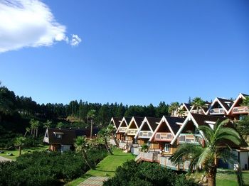 Jeju Jungmun Log Pension & Resort 2*