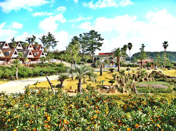 Jeju Jungmun Log Pension & Resort 2*