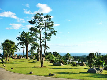 Jeju Jungmun Log Pension & Resort 2*