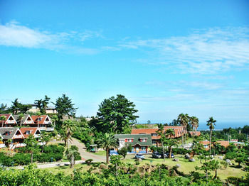 Jeju Jungmun Log Pension & Resort 2*