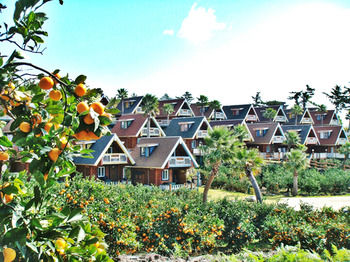 Jeju Jungmun Log Pension & Resort 2*