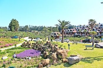 Jeju Jungmun Log Pension & Resort 2*