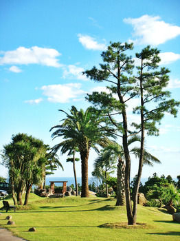 Jeju Jungmun Log Pension & Resort 2*