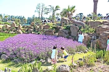 Jeju Jungmun Log Pension & Resort 2*