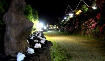 Jeju Jungmun Log Pension & Resort 2*