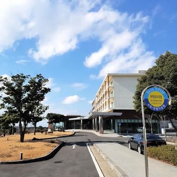 Jeju Aerospace Hotel 3*