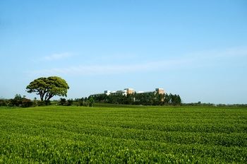 Jeju Aerospace Hotel 3*