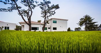 Harmony Resort 3*
