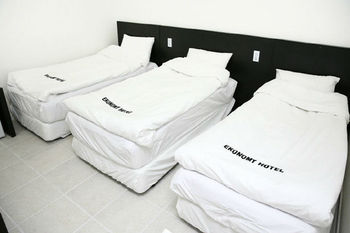 Ekonomy Hotel Gumi 3*