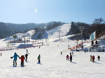 Elf Resort Hotel 3*
