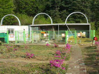 Elf Resort Hotel 3*