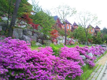 Elf Resort Hotel 3*